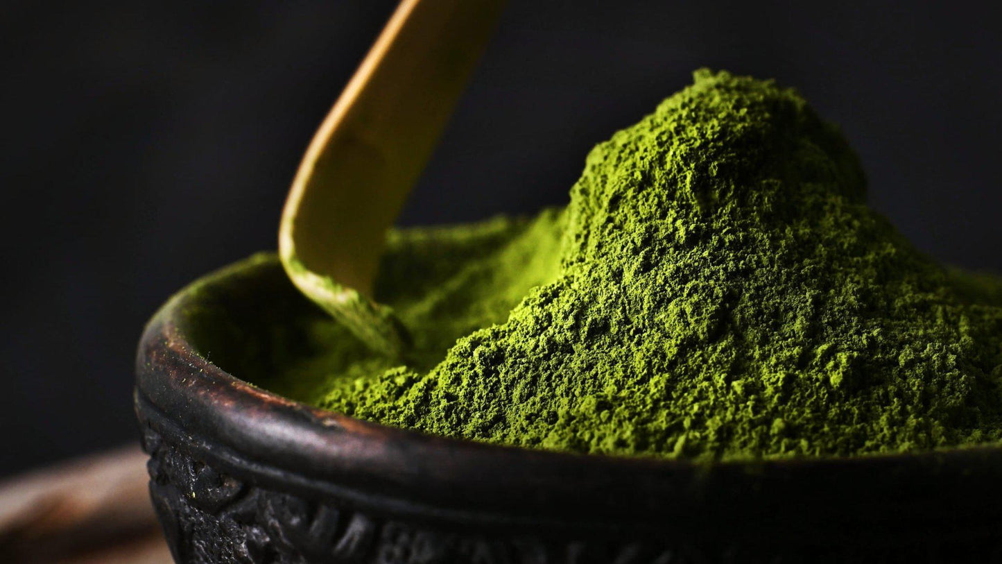 Matcha Tin Sampler - 20g
