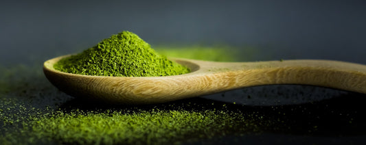5 Things To Know About Matcha - River & Stone Tea