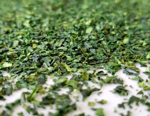 Another Few Words About Tencha - River & Stone Tea