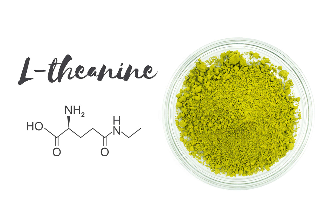 Get to Know Matcha's Beneficial Compounds - L-Theanine