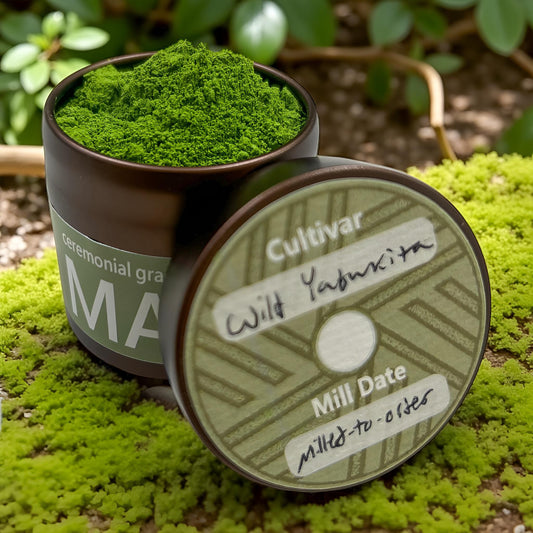 Wild Yabukita - 20g Tin