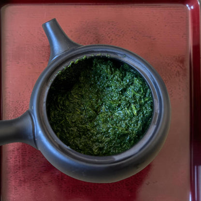Kagoshima Fukamushi Shincha